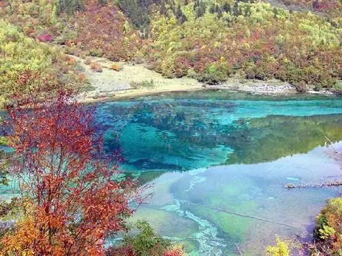 迈瑞医疗66亿溢价三成“A吃A” 入主惠泰医疗布局心血管领域